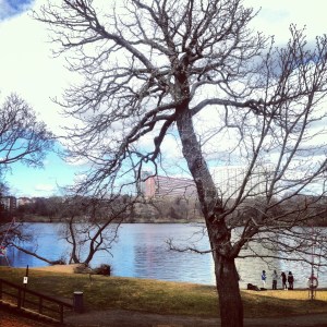 جزيرة لانغهولمن, السويد. كوثر أبو هاني