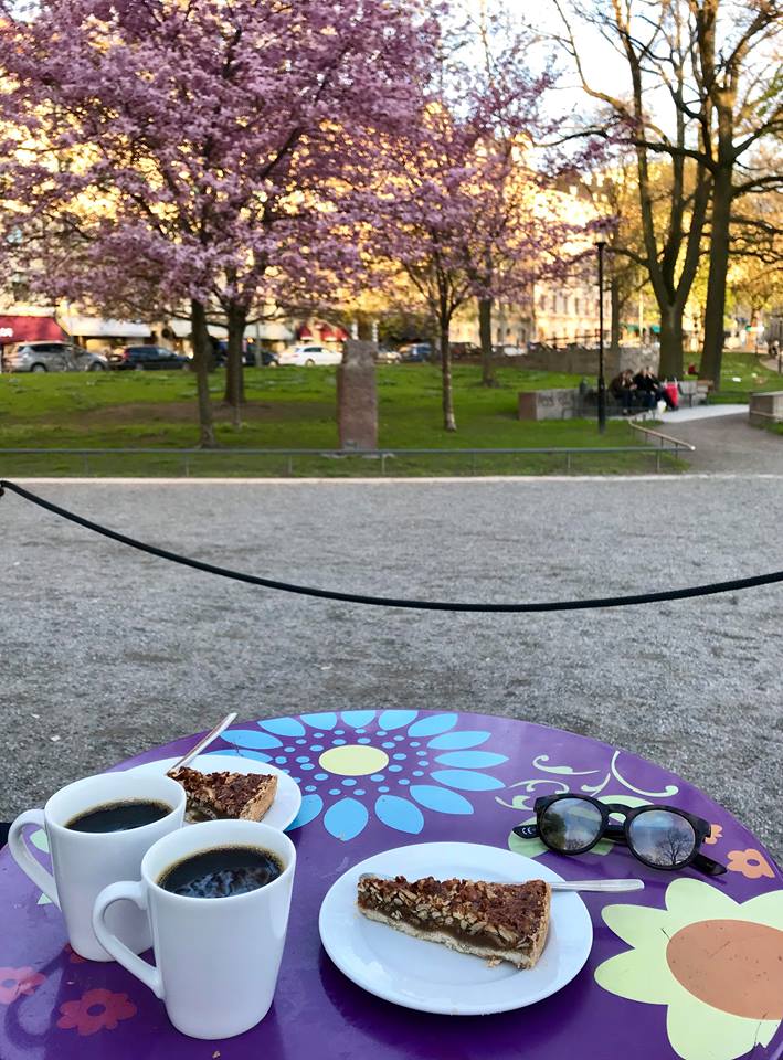 31484888_10213879492556469_6228569763161833472_n